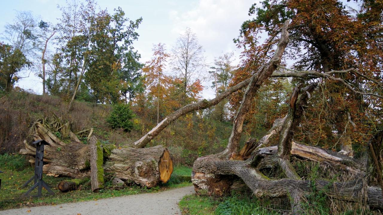 Готель Palac Komierowo Sepolno Krajenskie Екстер'єр фото